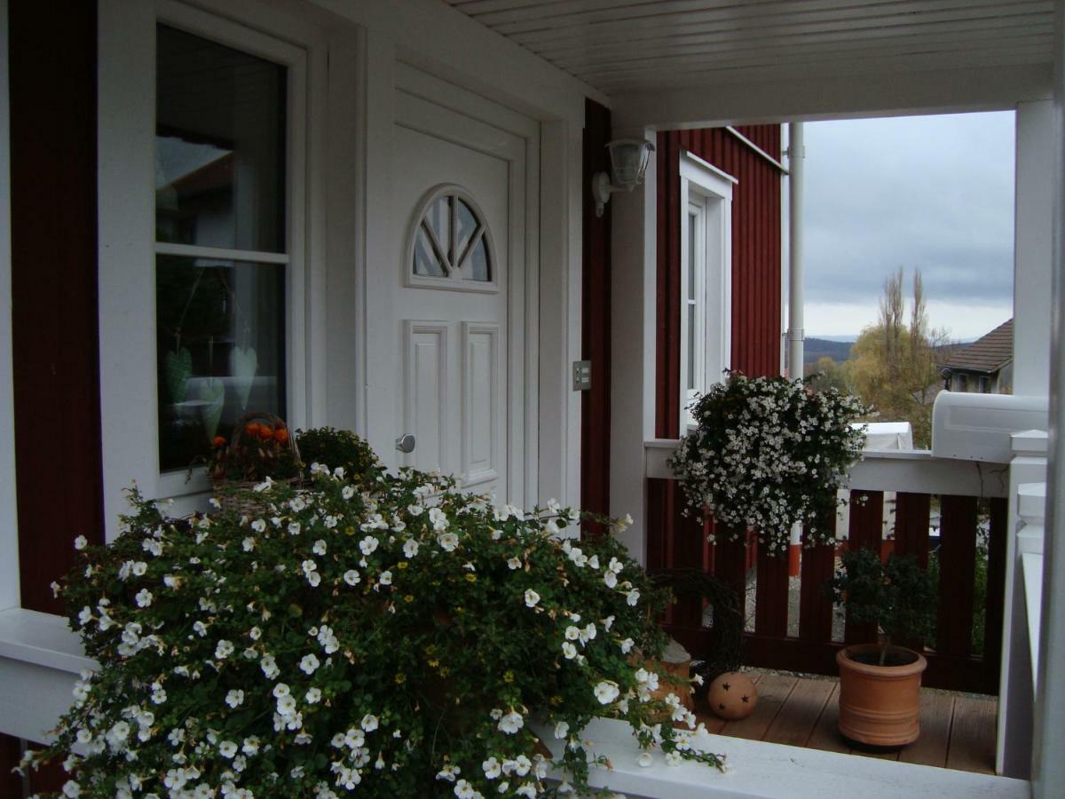 Haus Nordlicht Apartment Horn-Bad Meinberg